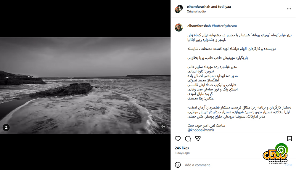 اینستاگرام الهام فراشاه