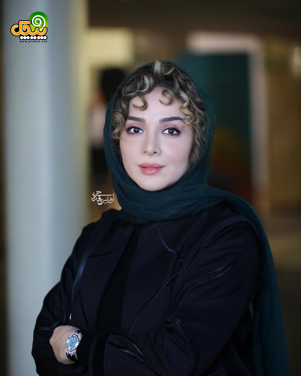 المیرا دهقانی Elmira Dehghani