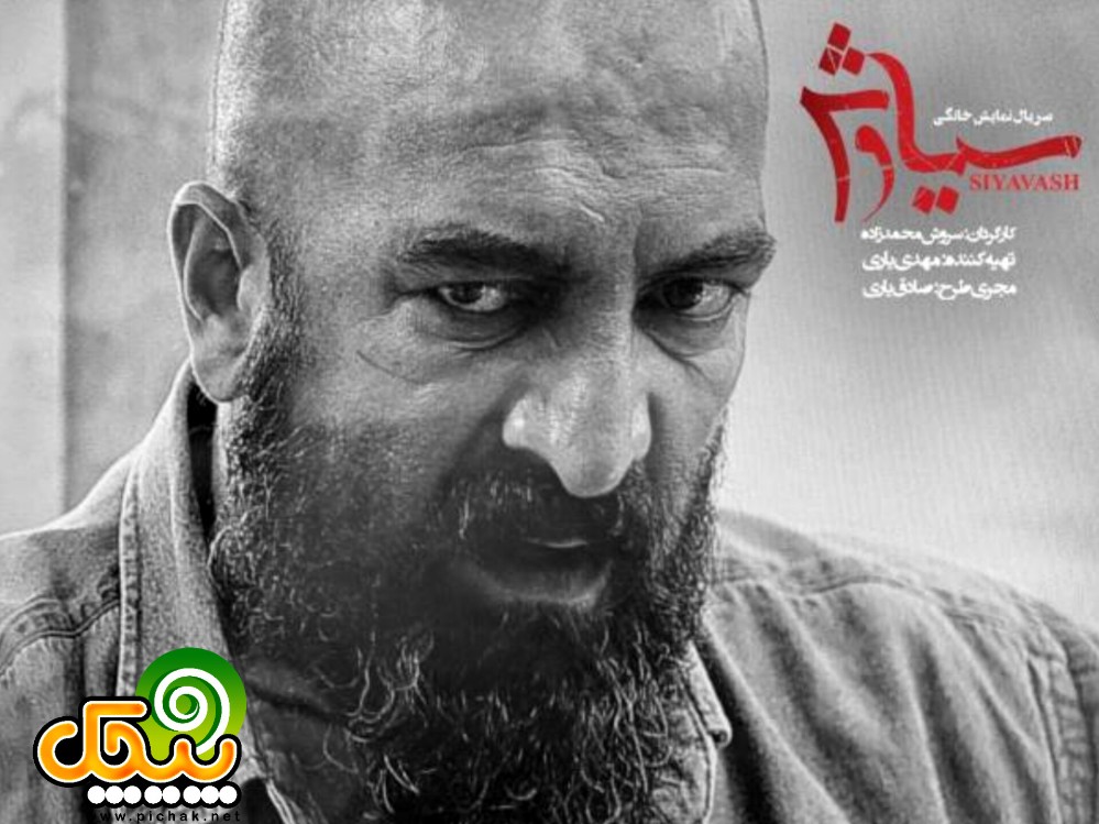 مجید صالحی در سریال سیاوش