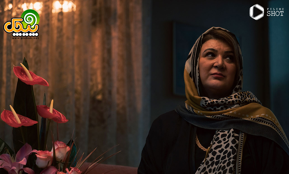 ریما رامین فر در فیلم ملاقات خصوصی