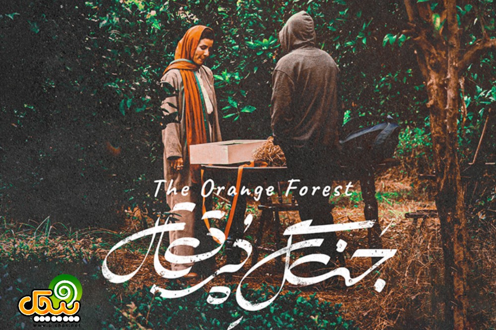 سارا بهرامی در فیلم سینمایی جنگل پرتقال