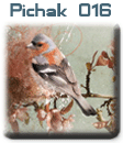 قالب های پیچك - سری دوم pichak.net