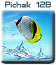 قالب های پیچك - سری یازدهم pichak.net