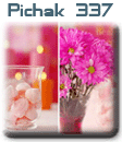 قالب های پیچك - سری بیست و نهم pichak.net