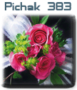 قالب های پیچك - سری سی و دوم pichak.net