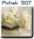 قالب های پیچك - سری چهل و سوم pichak.net