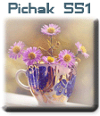قالب های پیچك - سری چهل و ششم pichak.net