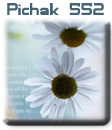 قالب های پیچك - سری چهل و ششم pichak.net