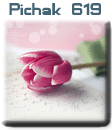 قالب های پیچك - سری پنجاه و دوم pichak.net