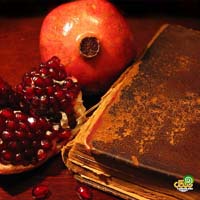 عکس پروفایل شب یلدا